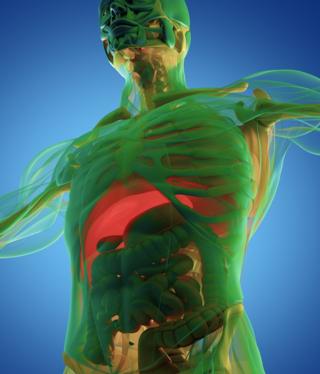 Image of a 3D scan of human anatomy - Hoton tirdi na jikin mutum.