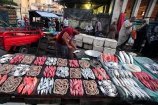 Egyptian vendors display fish for sale at a fish market in Alexandria, 220km northwest of Cairo, Egypt, 08 September 2019.