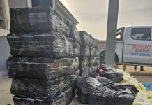 ‘Yan Sanda a Bauchi Sun Kama Wani Dillalin Miyagun Ƙwayoyi Tare da Ƙwace Ƙwayoyi Na Miliyoyin Naira